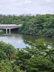 Blk 476C Hougang Capeview (Hougang), HDB 5 Rooms #463255801